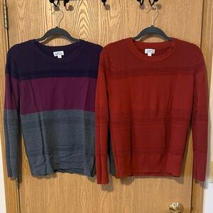 Bundle of 2 Market & Spruce Knit Sweaters